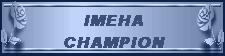 Award - IMEHA Champion
