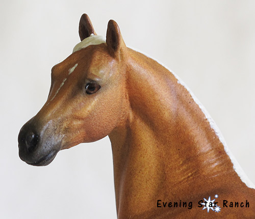 Jennifer Scott Dainty Darcy painted by Angelica Nelson