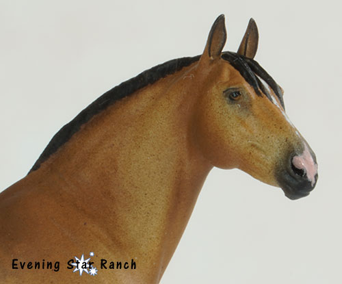 Brigitte Eberl Esplendida painted by Holly Conner