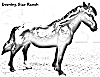 Breyer Classic Mustang Mare