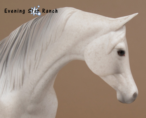 Stone Horse Pebbles Arabian