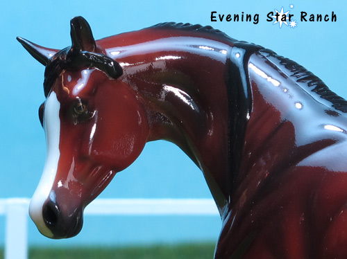 Stone Horse Pebbles Arabian