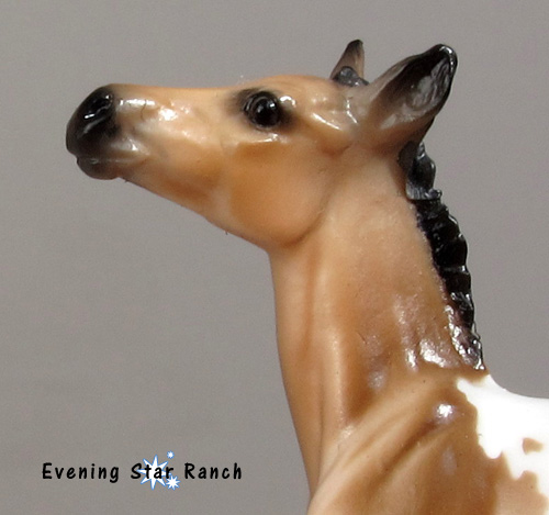 Stone Horse Chips Stock Foal