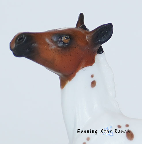 Stone Horse Chips Stock Foal