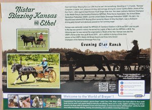 Breyer Traditional Welsh Mare & Foal Set