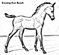 Breyer Classic Arabian Foal