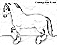 Breyer Traditional Friesian