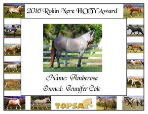 AWARD - TOPSA 2016 HOTY
