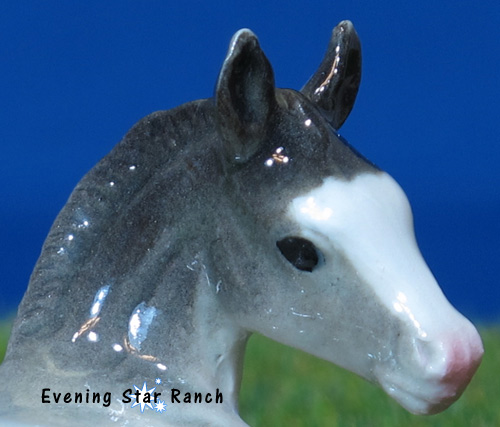 Northern Rose Clydesdale Foal