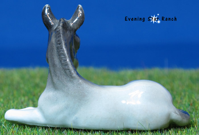 Northern Rose Clydesdale Foal