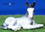 Northern Rose Clydesdale Foal