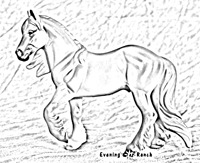 Breyer Stablemate Cob