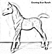 Breyer Traditional Family Arabian Foal