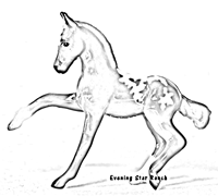 Breyer Stablemate Frisky Foal