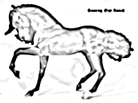 Breyer Traditional Laredo