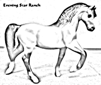 Breyer Stablemate Morgan Stallion