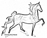 Breyer Traditional Racking Saddlebred