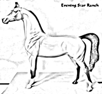 Stone Horses Arabian