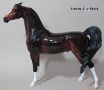 Stone Horses Arabian - My Immortal