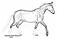 Breyer Traditional Giselle