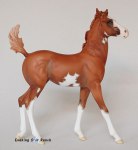 Breyer Traditional Walking Quarter Horse Foal Hawkeye 90202