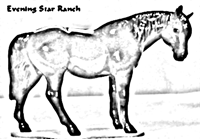 Hagen-Renaker Specialty Morgan Mare