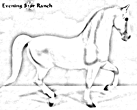 Breyer Traditional Pluto