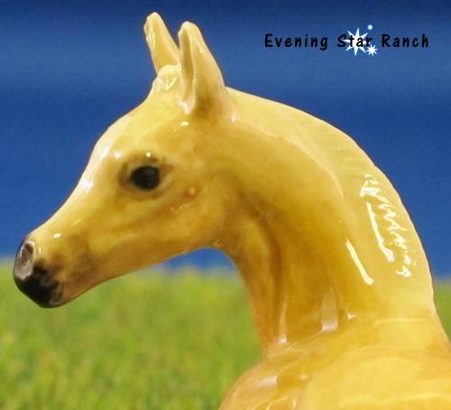 Northern Rose Foal kr202p