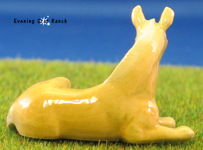 Northern Rose Foal kr202p