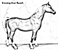 Breyer Traditional Proud Arabian Mare