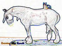 Animal Artistry Sleep Shire