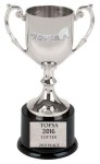 Award - TOPSA 2016 Top Ten 2nd Place
