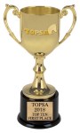 Award - TOPSA 2018 Top Ten 1st Place