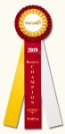 Award - 2019 TOPSA Reserve Champion