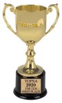 Award - TOPSA 2020 Top Ten 1st Place