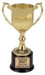 Award - TOPSA 2021 Top Ten 1st place