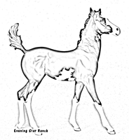 Breyer Traditional Walking Quarter Horse Foal