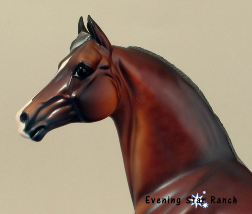 Stone Horses Santa Fe Morgan