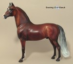 Stone Horses Santa Fe Morgan