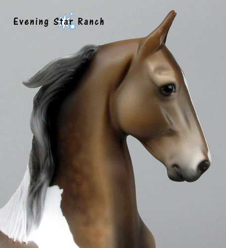 Stone Horses American Saddlebred Darjeeling