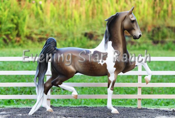 Stone Horses American Saddlebred Darjeeling