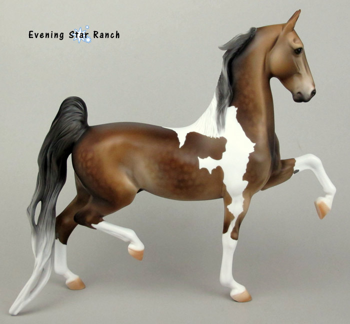 Stone Horses American Saddlebred Darjeeling