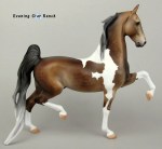 Stone Horses American Saddlebred Darjeeling