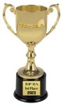 Award - TOPSA 2023 Top Ten 1st place