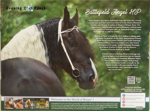 Breyer Traditional Friesian Sport Horse Battlefield Angel 1865