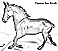 Breyer Traditional Wixom