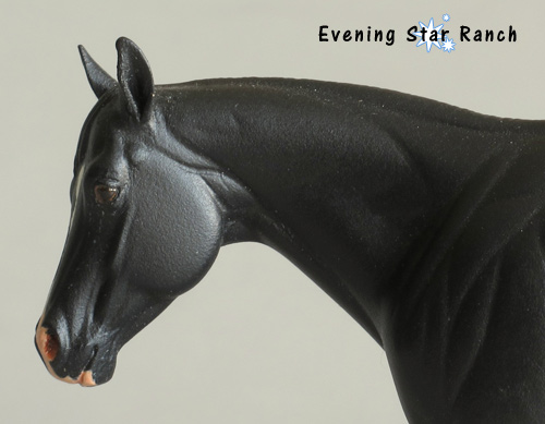 Sarah Rose Little Lonestar painted by Tammi Palmarchuk