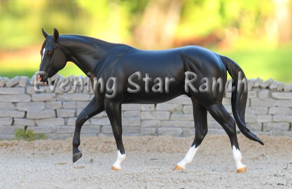 Sarah Rose Little Lonestar painted by Tammi Palmarchuk