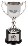 Award - TOPSA 2021 Top Ten 2nd place