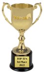 Award - TOPSA 2022 Top Ten 1st place